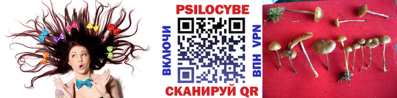 где можно купить наркотик  Пудож  Псилоцибиновые грибы MAGIC MUSHROOMS 